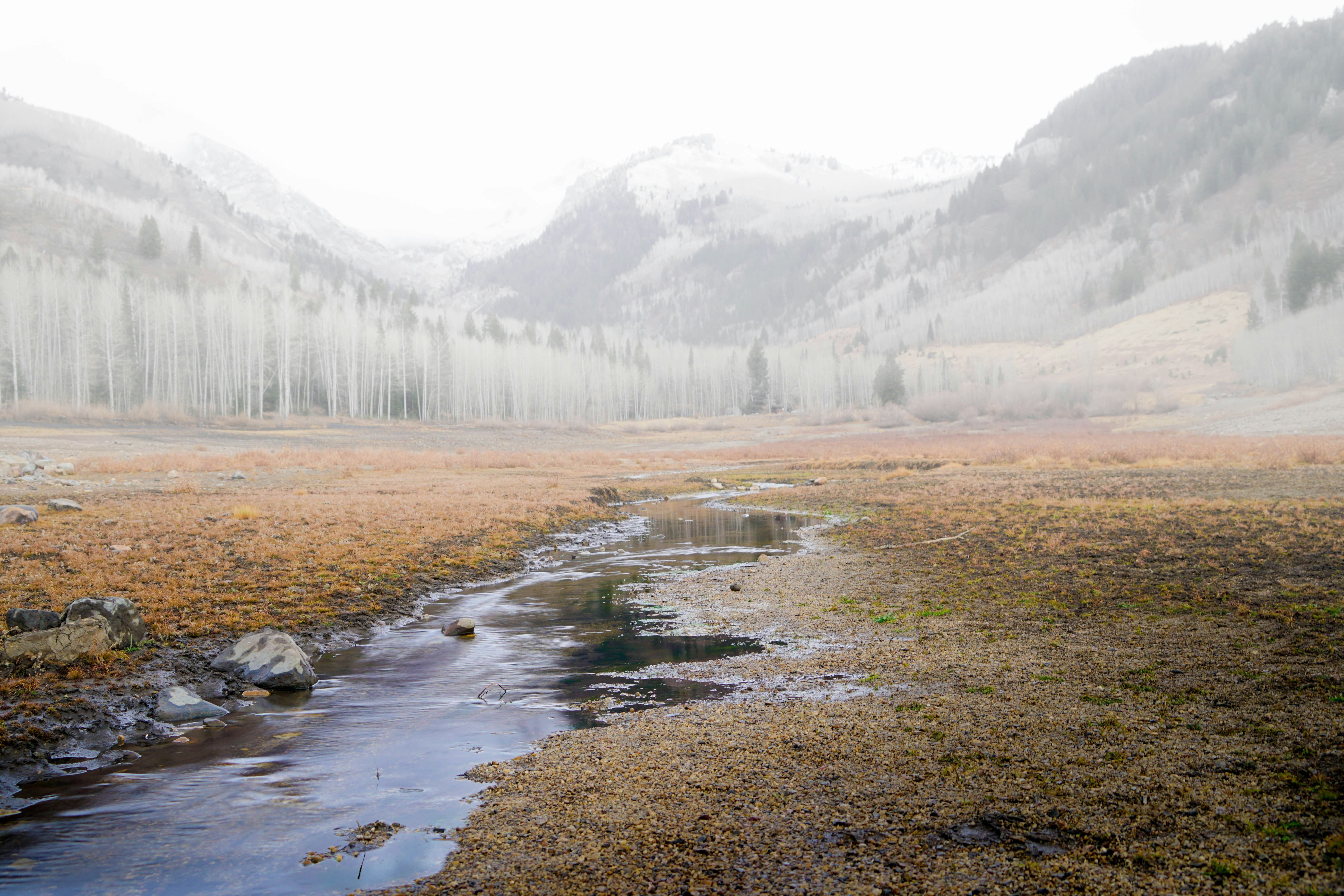 flooded mountain stream after rain