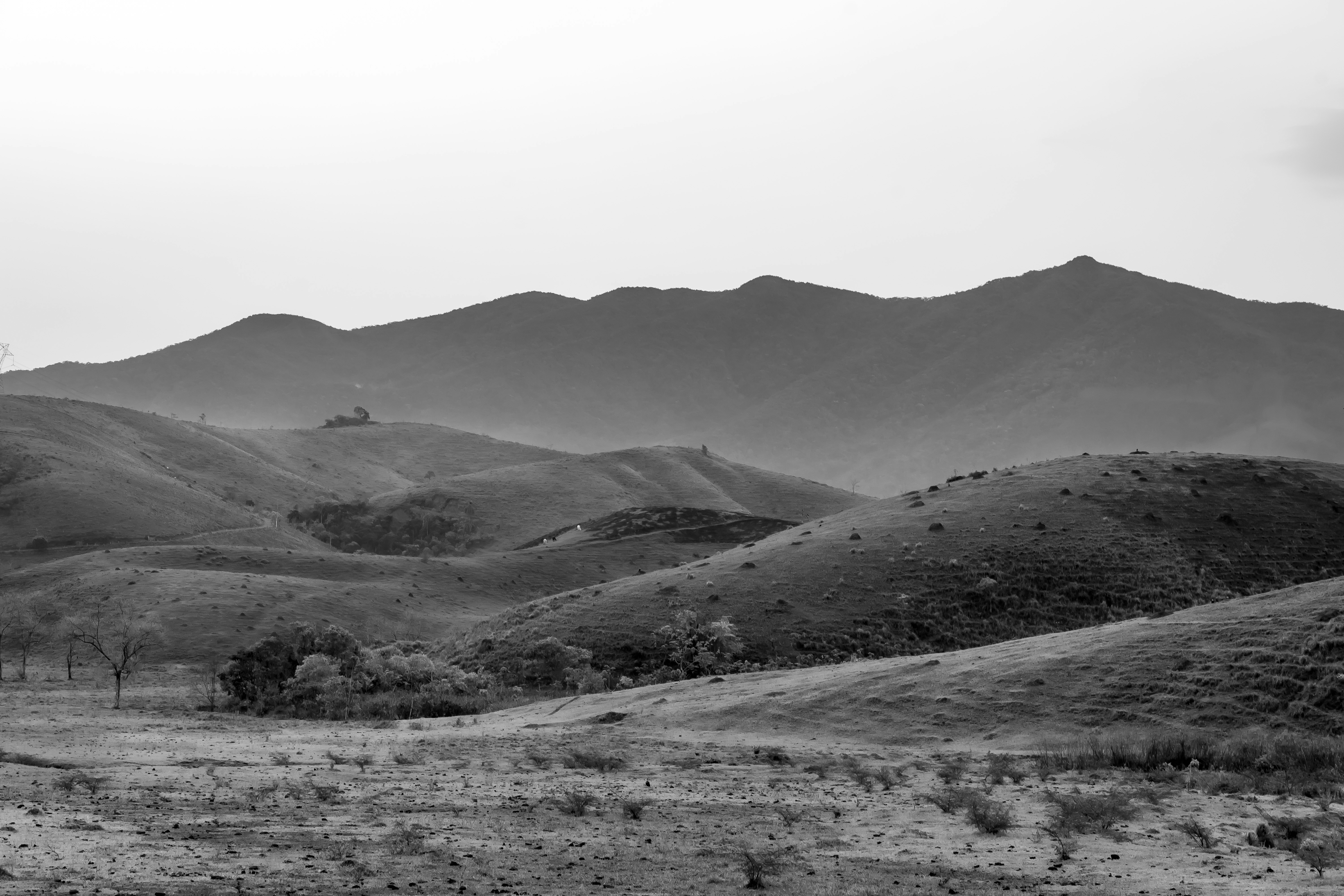 Photo by darciribeiro