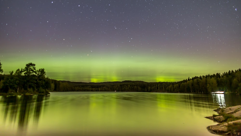 a green and purple aurora bore over a lake