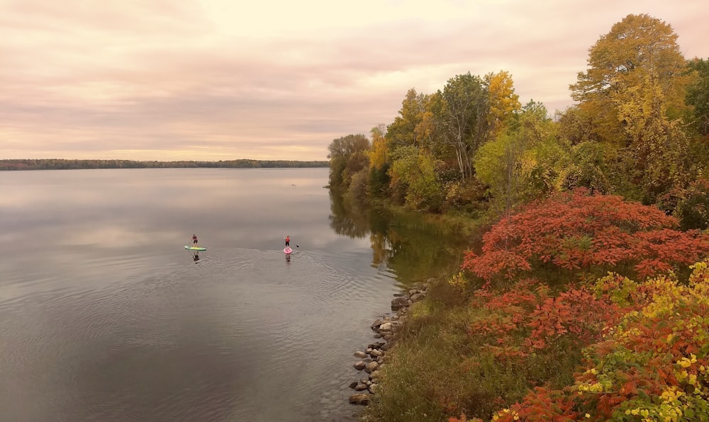 a couple of people riding paddle boards on a lake