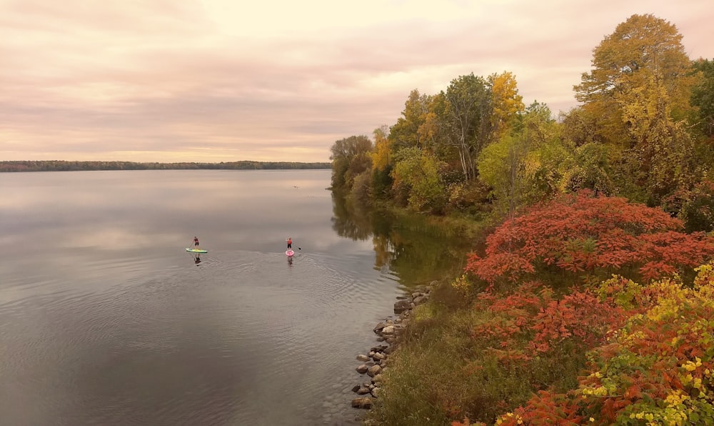 Un par de personas montando tablas de paddle en un lago