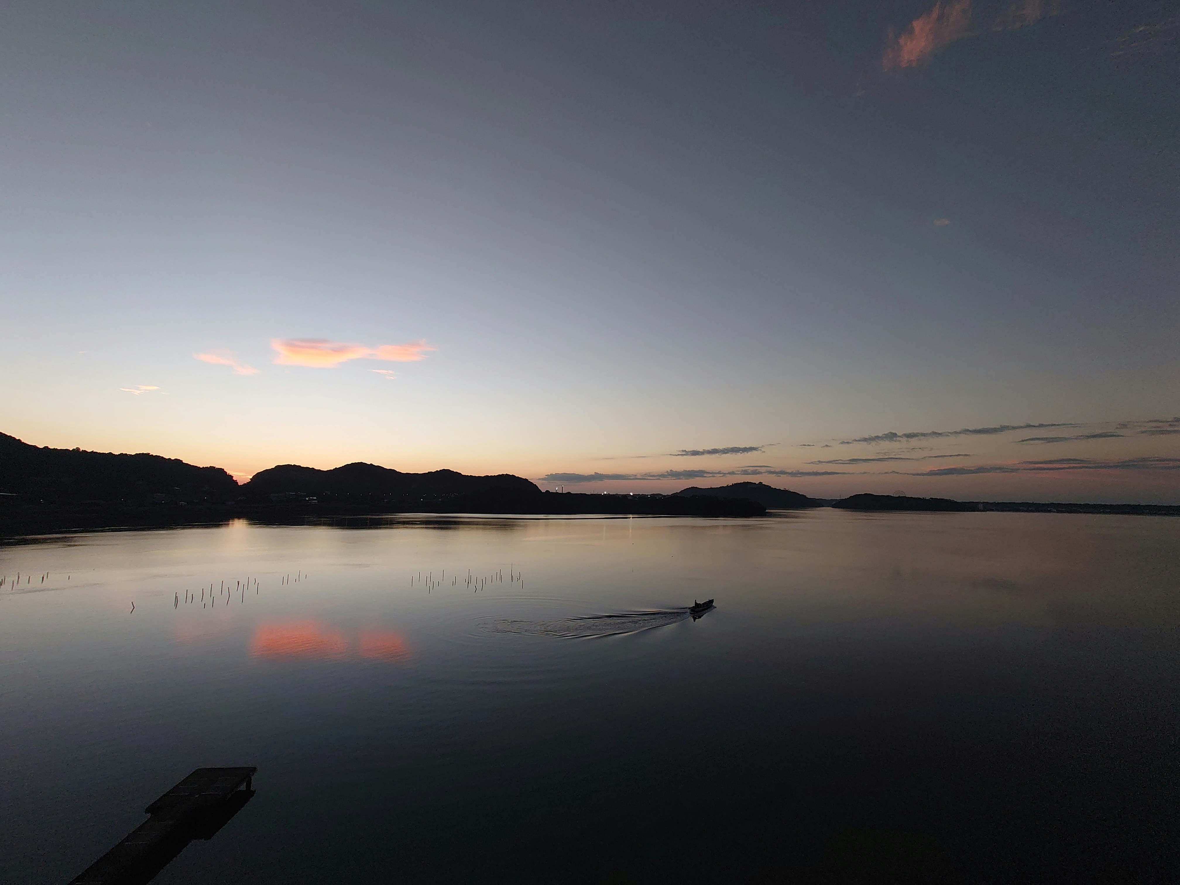 Photo by japanese_furseal