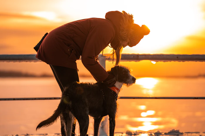 Pet Friendly Stays