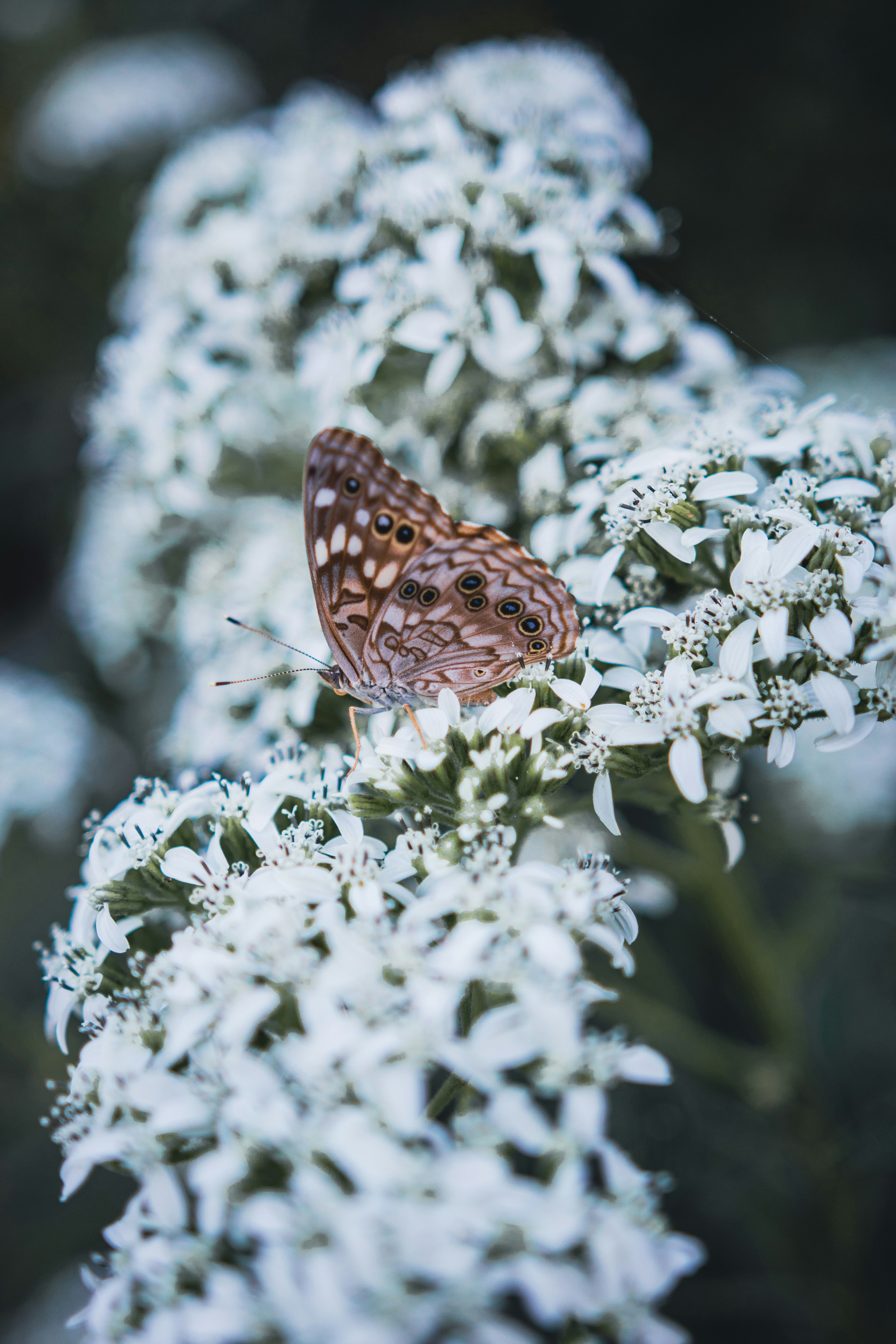 Photo by jtyler258