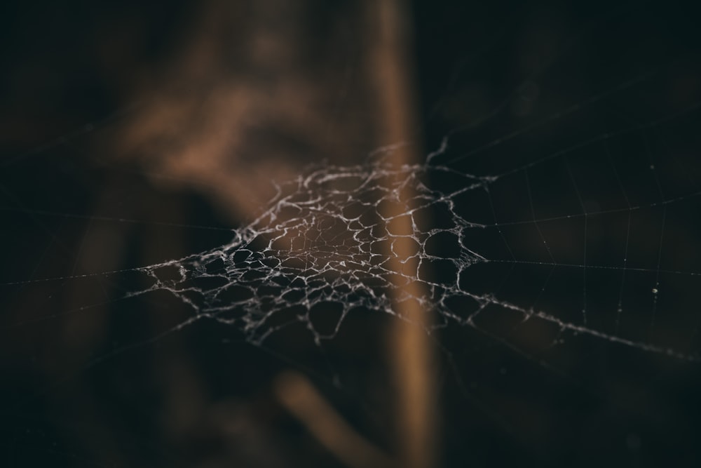 a close up of a spider's web in the dark