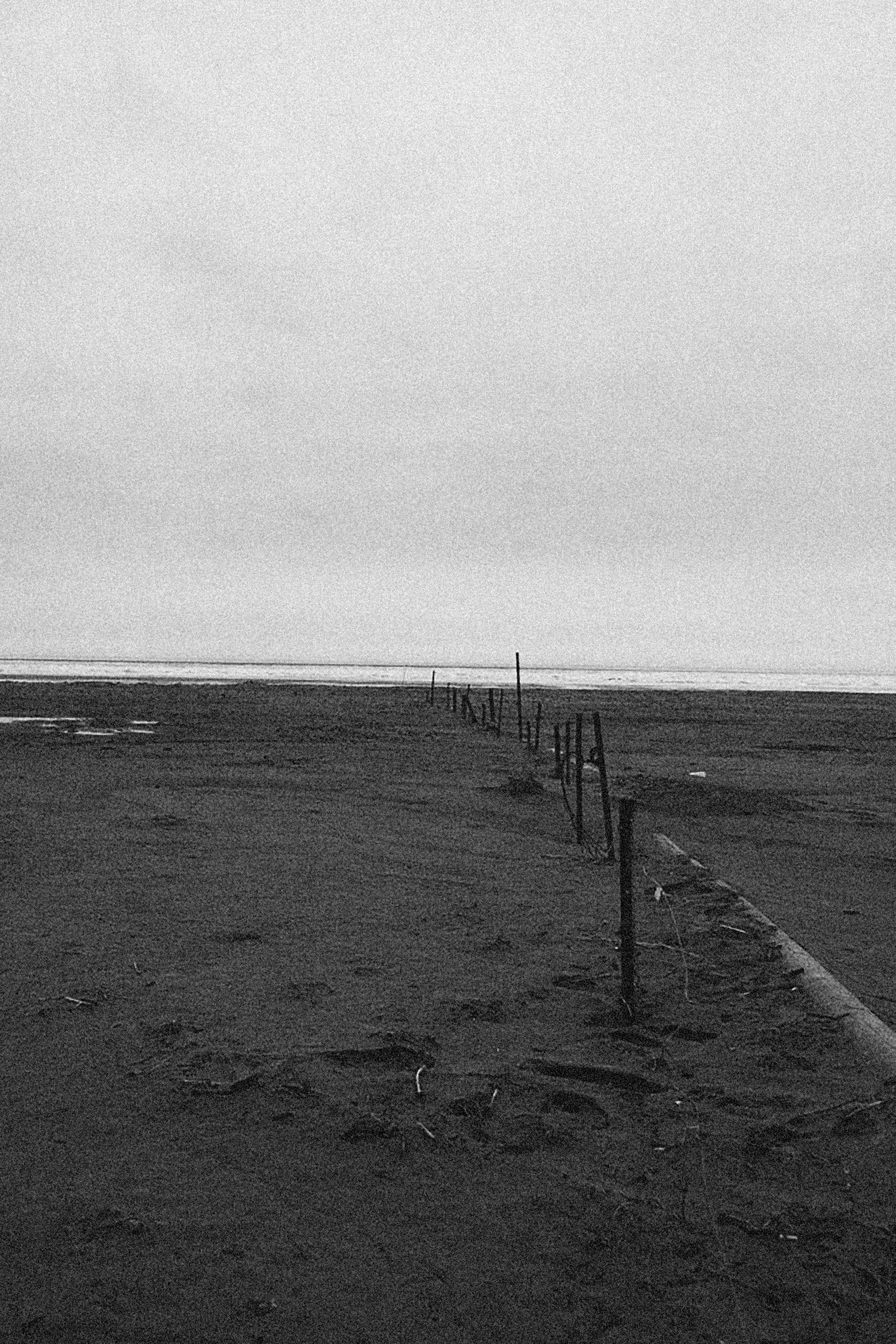 Photo by alexeydemidov