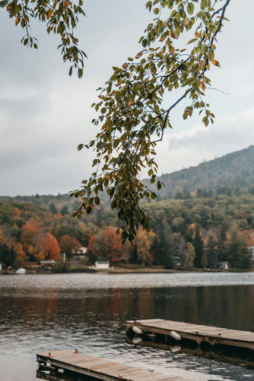 a wooden dock sitting on top of a lake next to a forest