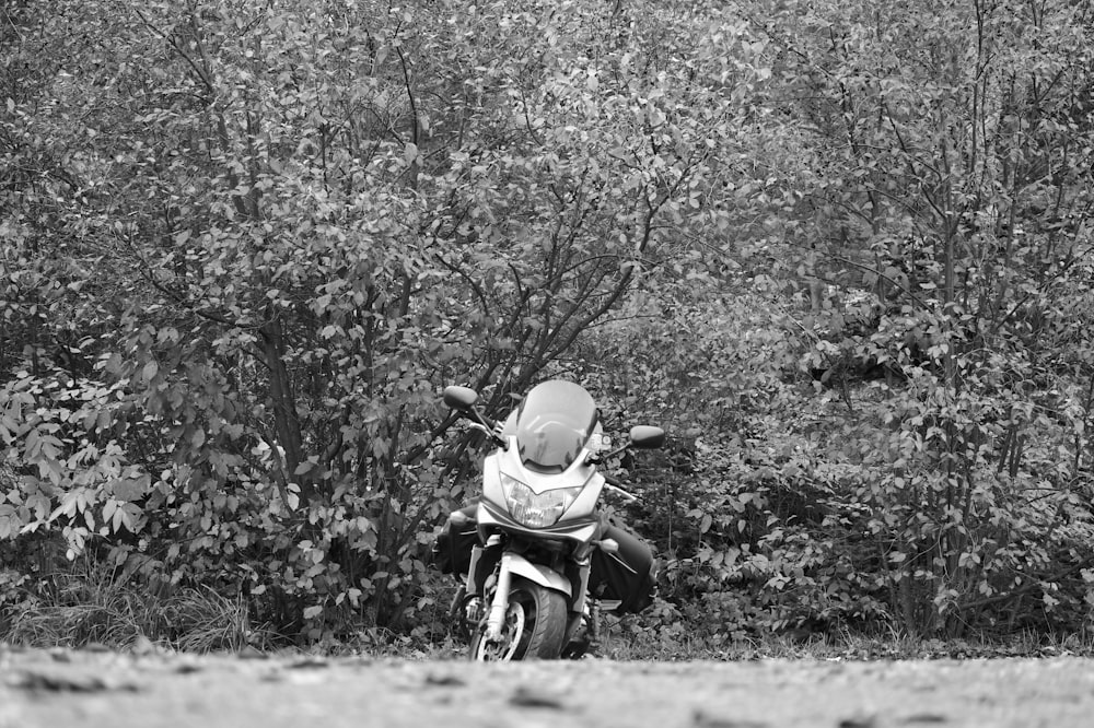 a black and white photo of a motorcycle parked in front of a bush