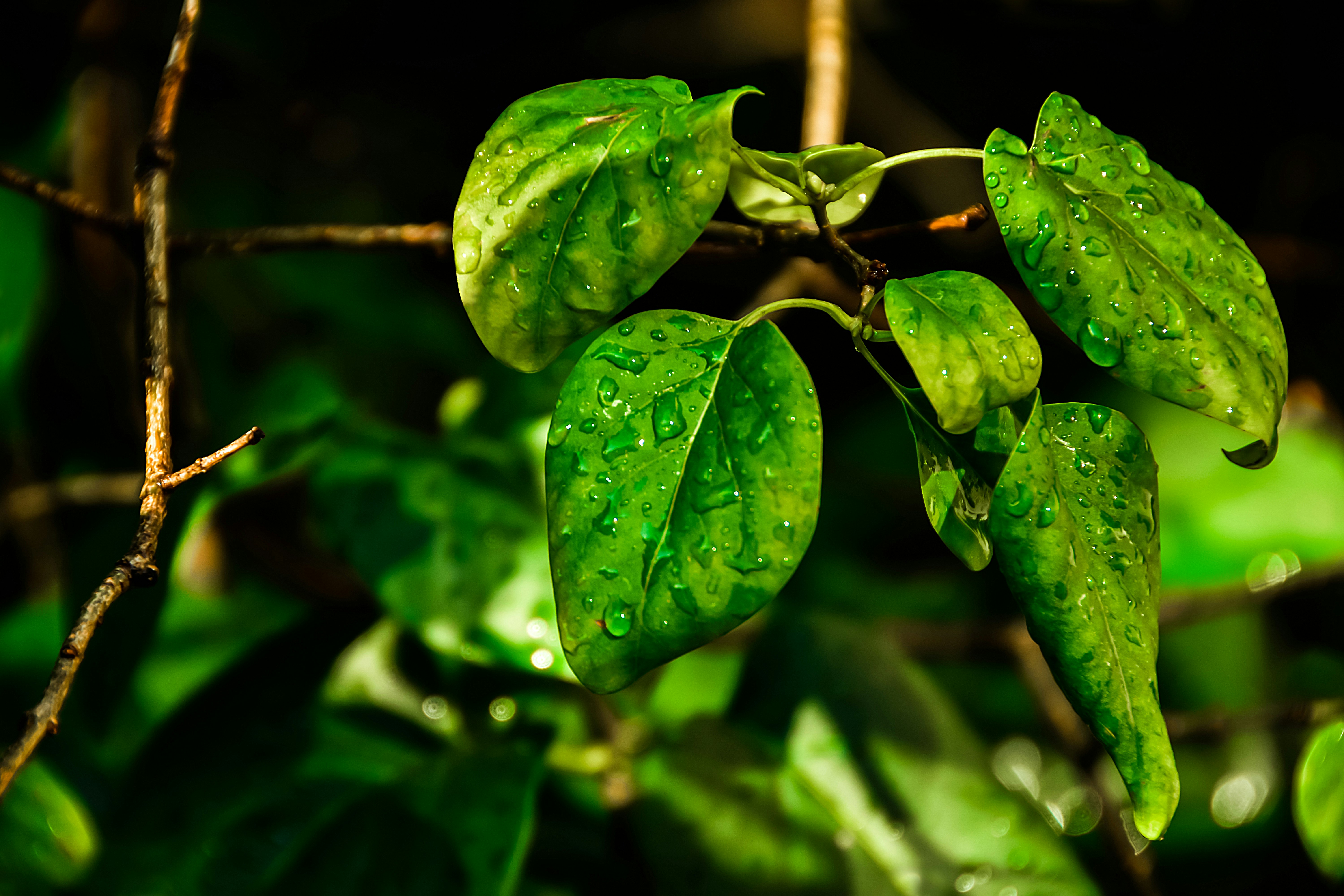 Photo by motaztawfik