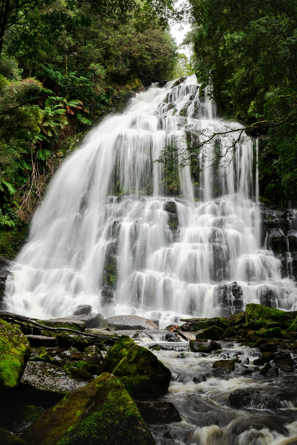 a large waterfall in the middle of a forest