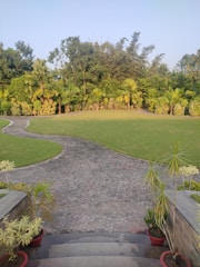 Curved stone walkway bordered by lush greenery in a suburban garden.