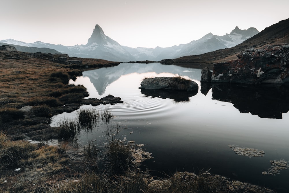 a body of water surrounded by mountains and grass