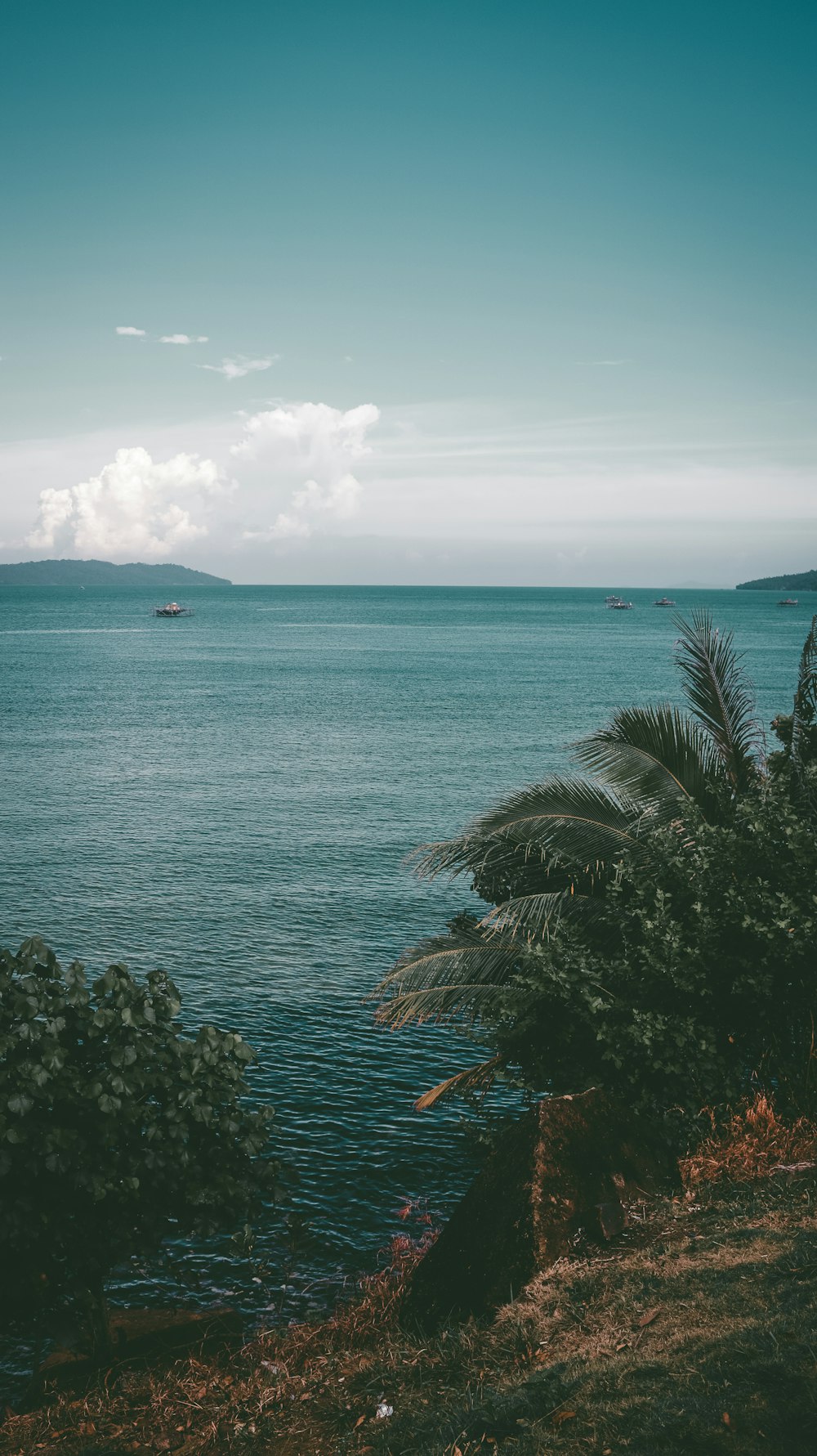 a large body of water surrounded by trees