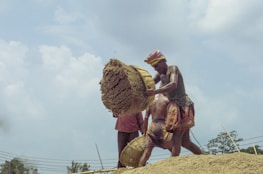 A group of men working on a construction-like task, involving carrying large baskets filled with sand or a similar material. The setting appears outdoors, under a partly cloudy sky. They are dressed in traditional attire and are engaged in a physically demanding activity, suggesting manual labor.