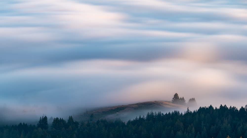 a mountain covered in clouds and trees