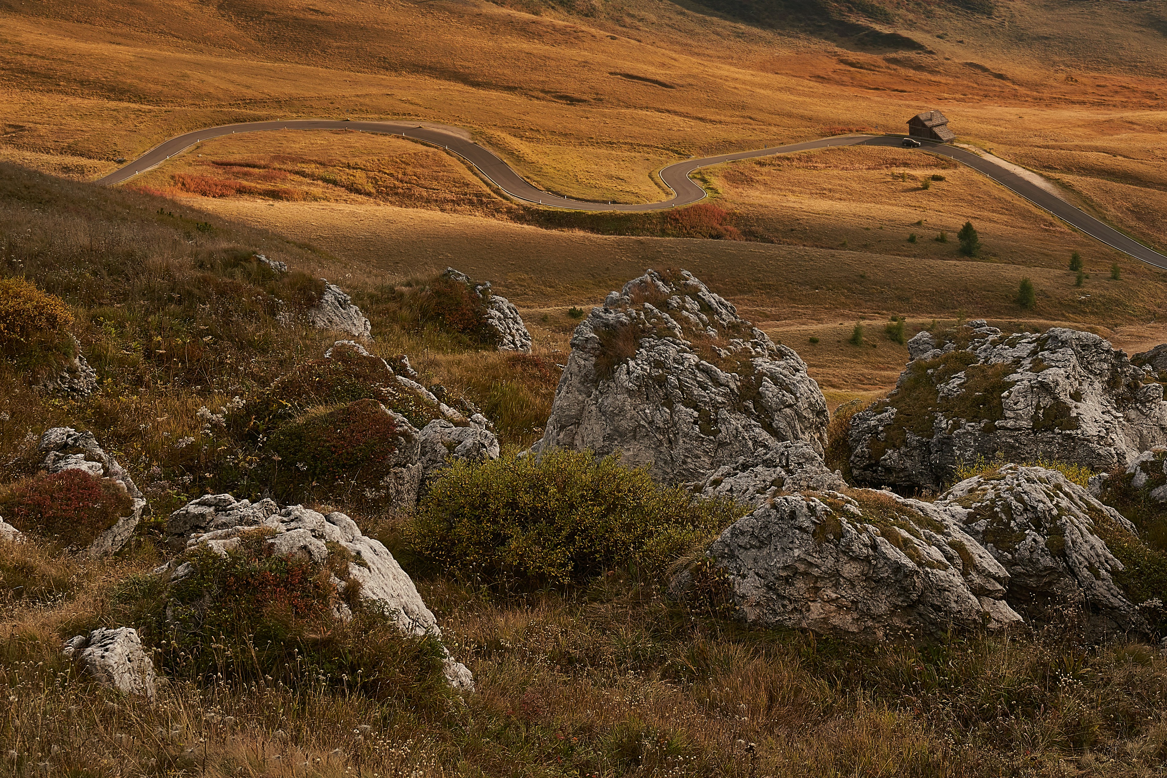 a winding road in the middle of a field