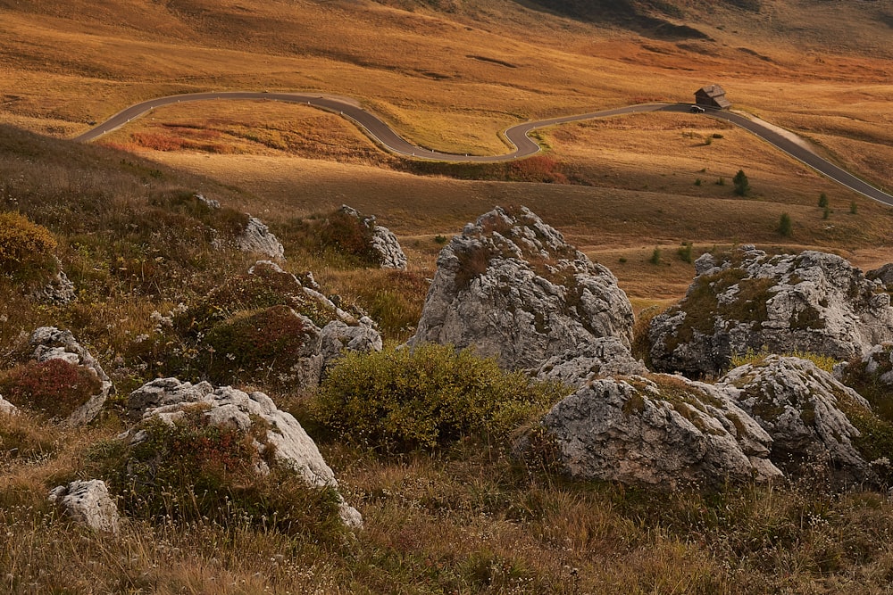 a winding road in the middle of a field