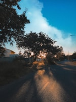A peaceful rural road winding through farmland with golden sunlight at dusk.