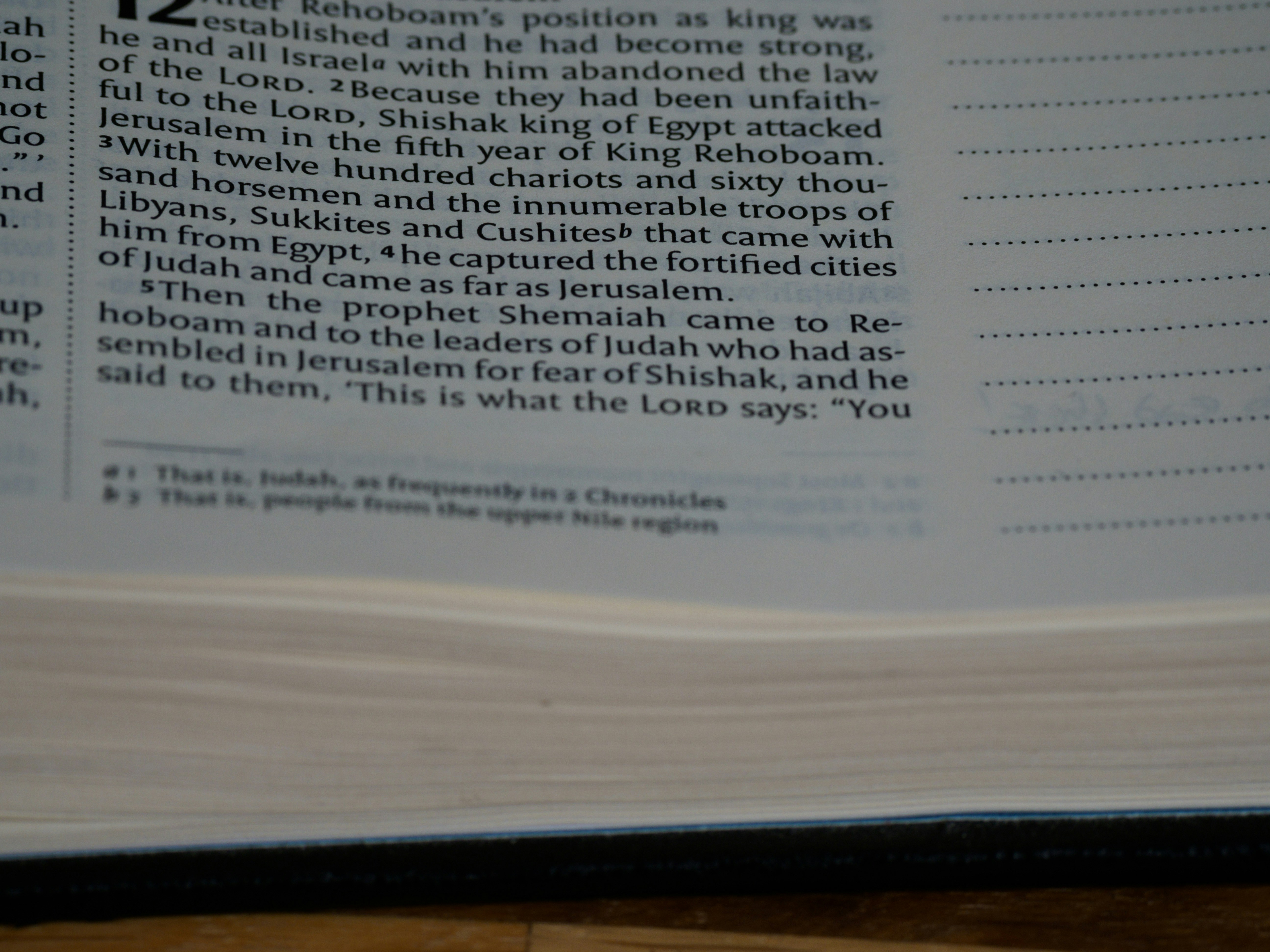 Photo by brett_jordan