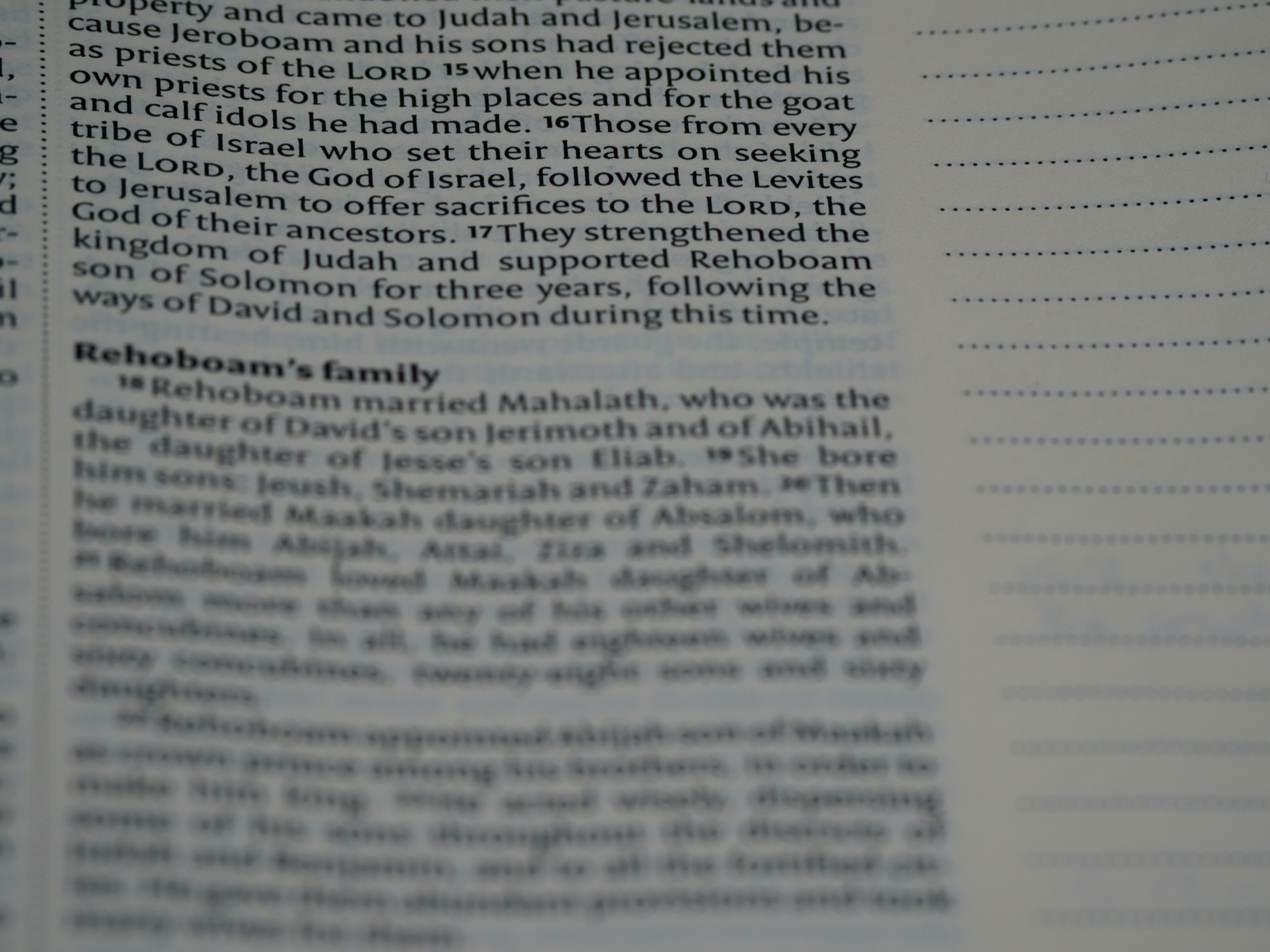 Photo by brett_jordan