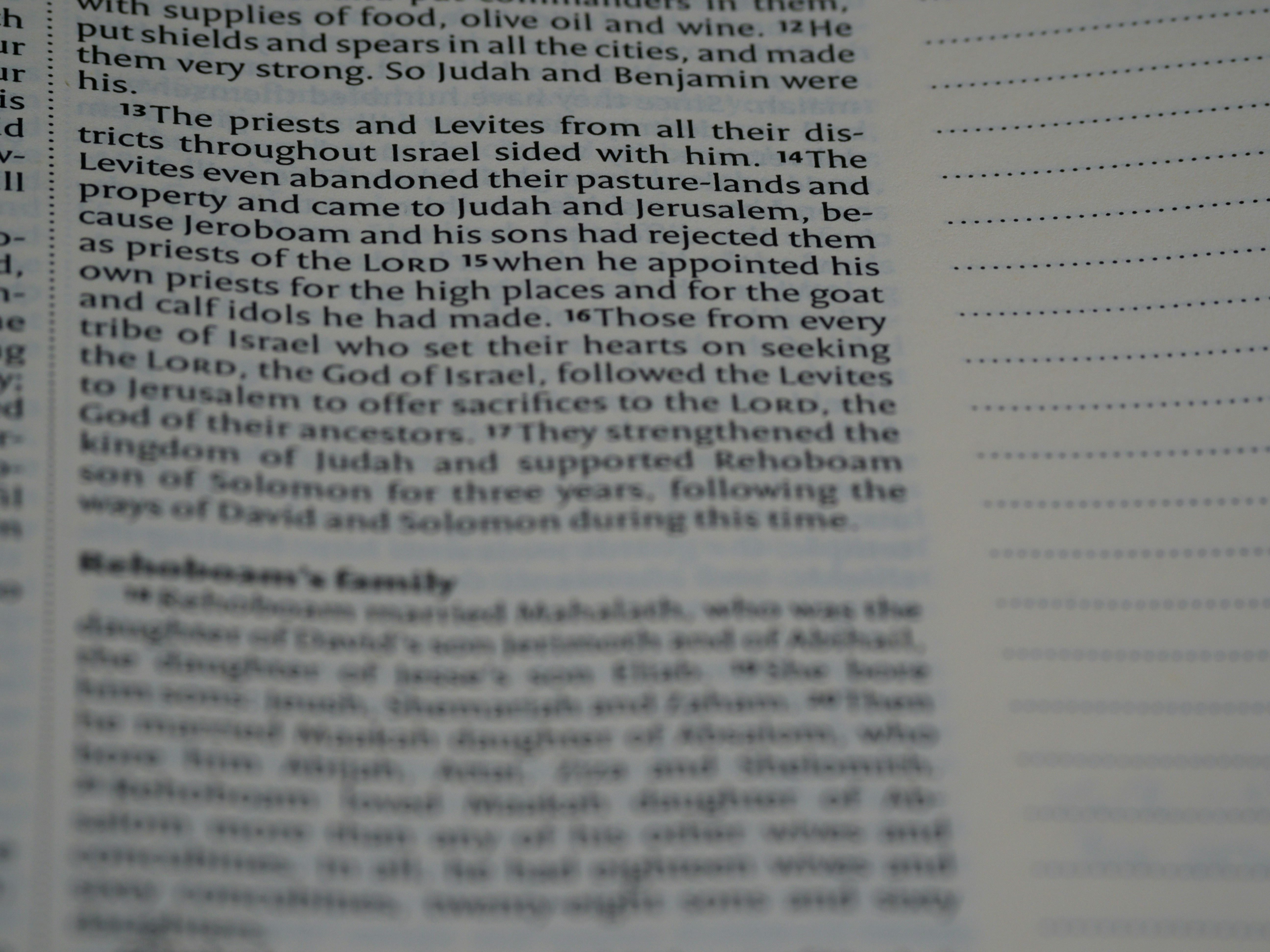 Photo by brett_jordan