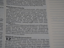 a close up of a page of a book