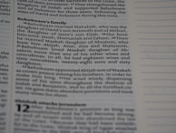 A close-up of text from a printed book, likely a Bible, focusing on the lineage and family of Rehoboam. The text is in a serif font and discusses Rehoboam's marriages and children.