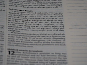 A close-up of text from a printed book, likely a Bible, focusing on the lineage and family of Rehoboam. The text is in a serif font and discusses Rehoboam's marriages and children.