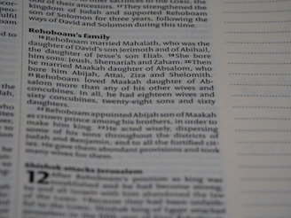 A close-up of text from a printed book, likely a Bible, focusing on the lineage and family of Rehoboam. The text is in a serif font and discusses Rehoboam's marriages and children.