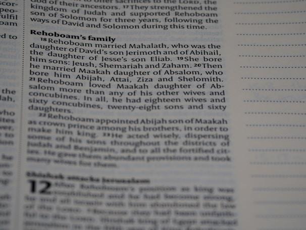A close-up of text from a printed book, likely a Bible, focusing on the lineage and family of Rehoboam. The text is in a serif font and discusses Rehoboam's marriages and children.
