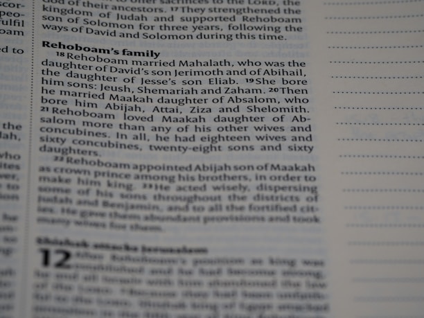 A close-up of text from a printed book, likely a Bible, focusing on the lineage and family of Rehoboam. The text is in a serif font and discusses Rehoboam's marriages and children.