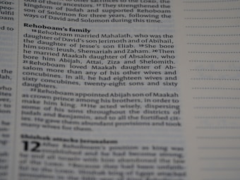 A close-up of text from a printed book, likely a Bible, focusing on the lineage and family of Rehoboam. The text is in a serif font and discusses Rehoboam's marriages and children.