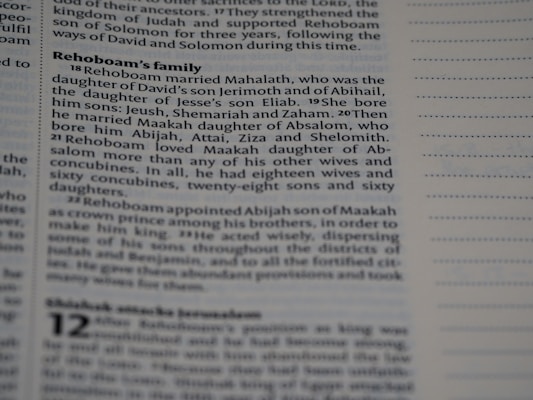A close-up of text from a printed book, likely a Bible, focusing on the lineage and family of Rehoboam. The text is in a serif font and discusses Rehoboam's marriages and children.