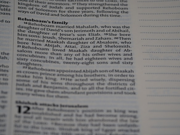 A close-up of text from a printed book, likely a Bible, focusing on the lineage and family of Rehoboam. The text is in a serif font and discusses Rehoboam's marriages and children.