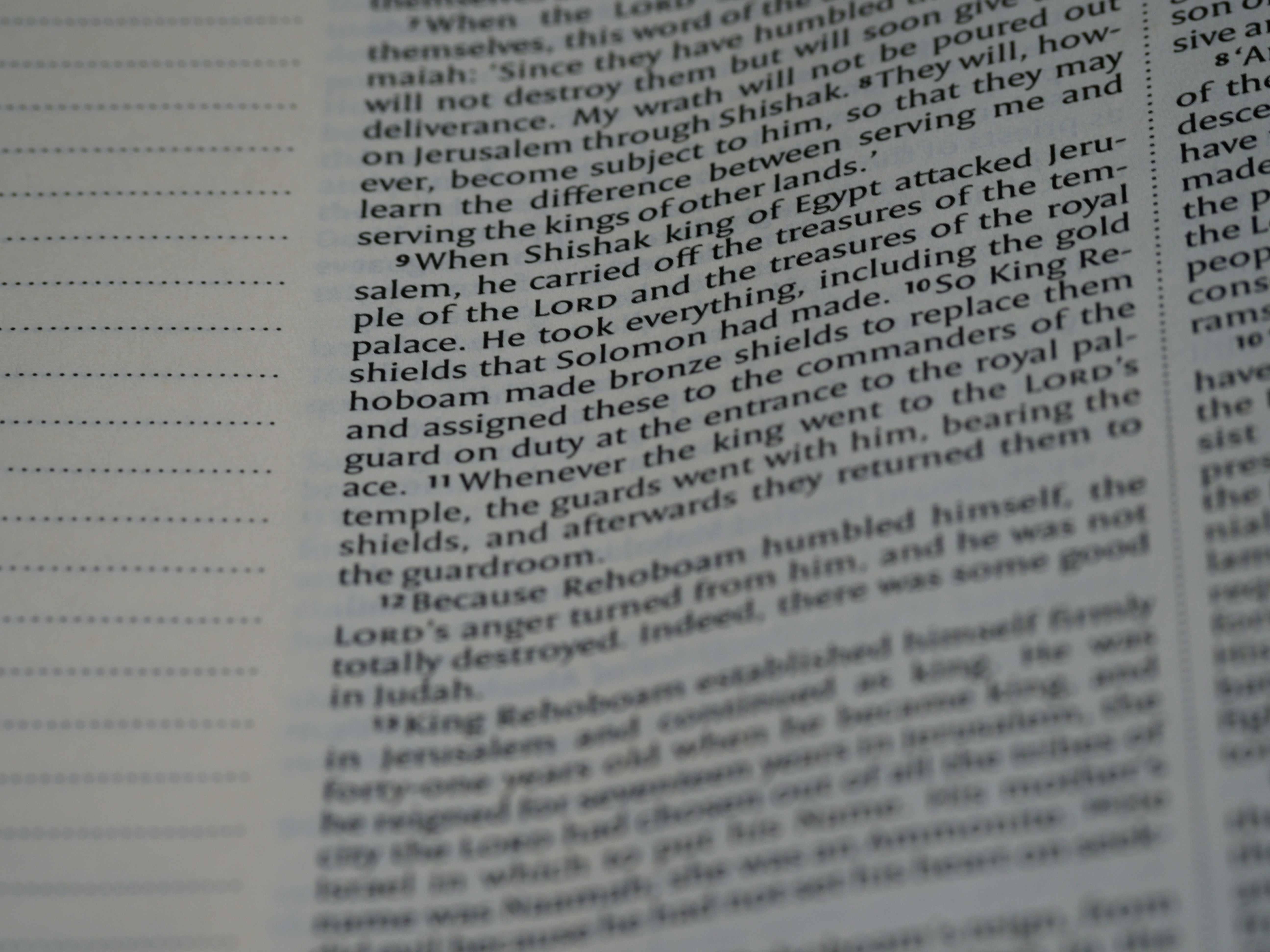 Photo by brett_jordan