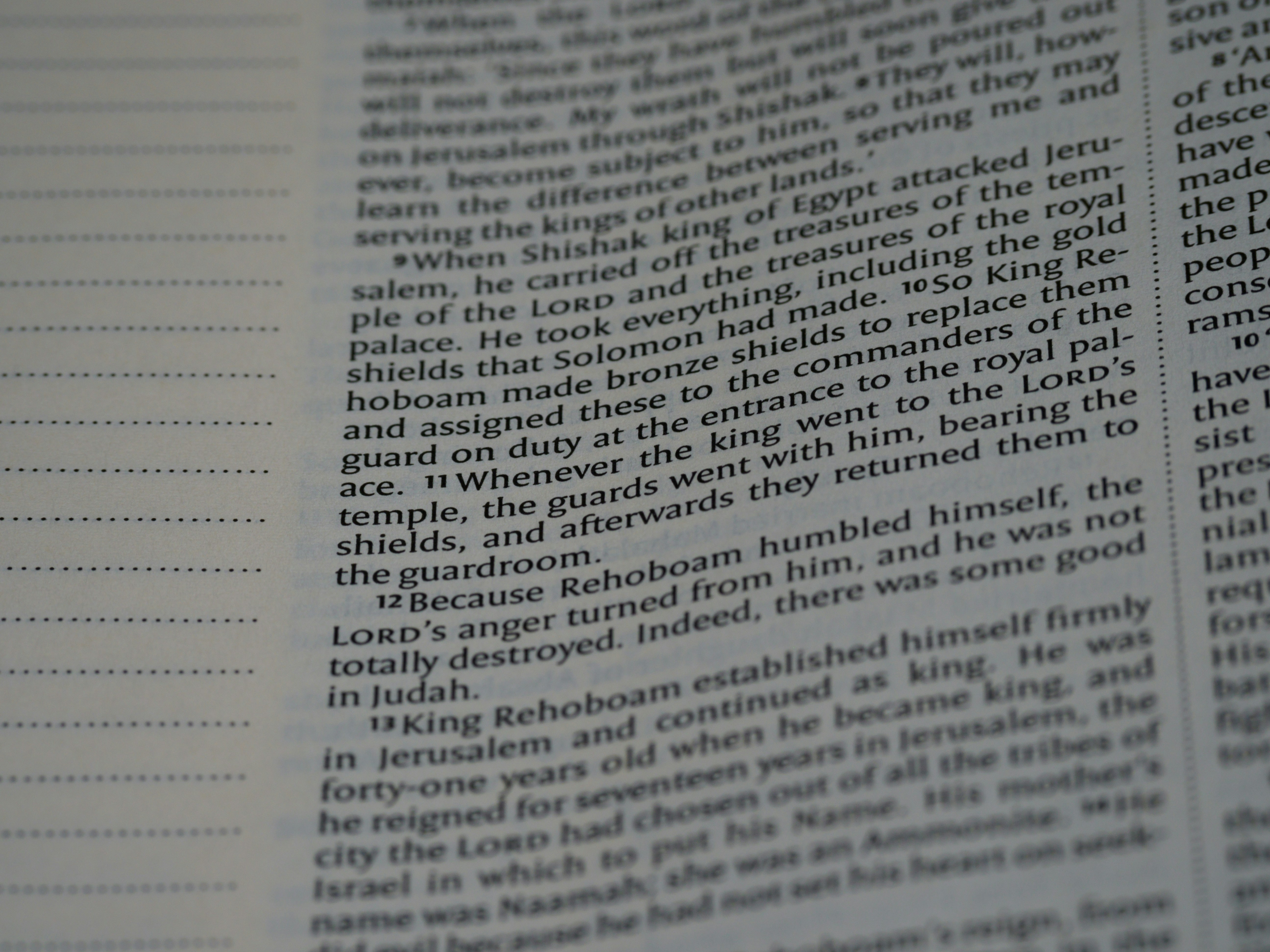 Photo by brett_jordan