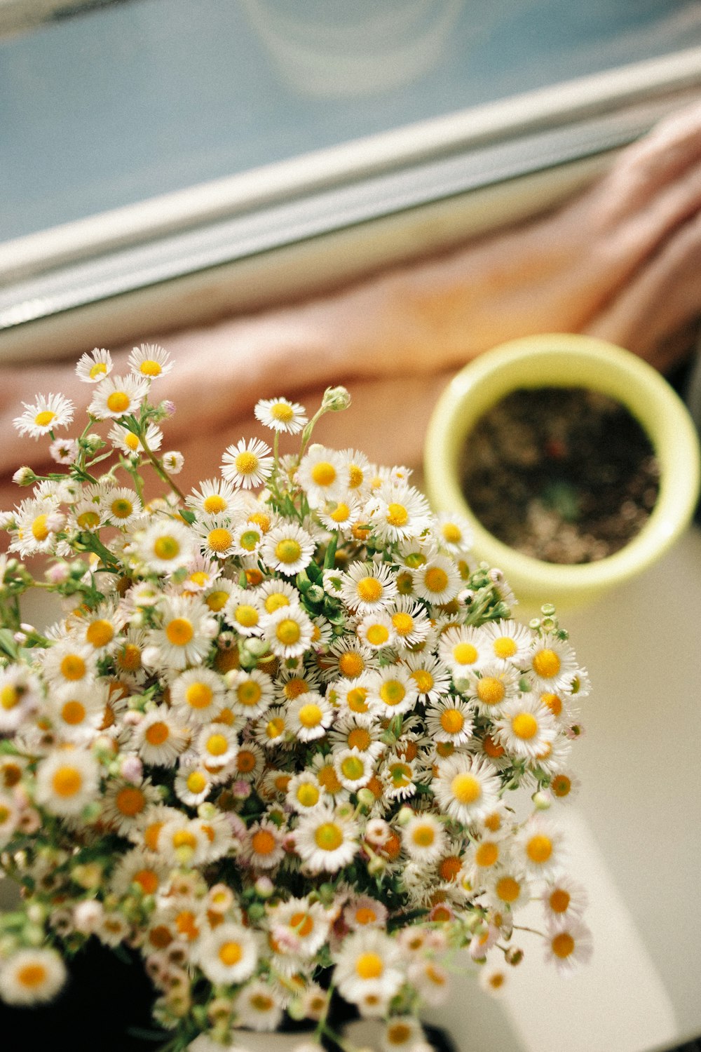 a vase of daisies sitting next to a window sill