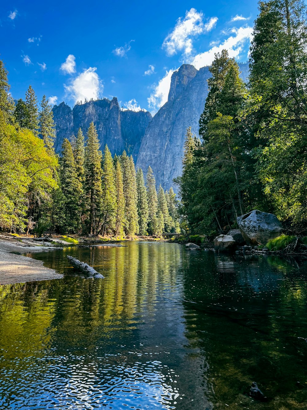 a river in the middle of a forest with mountains in the background