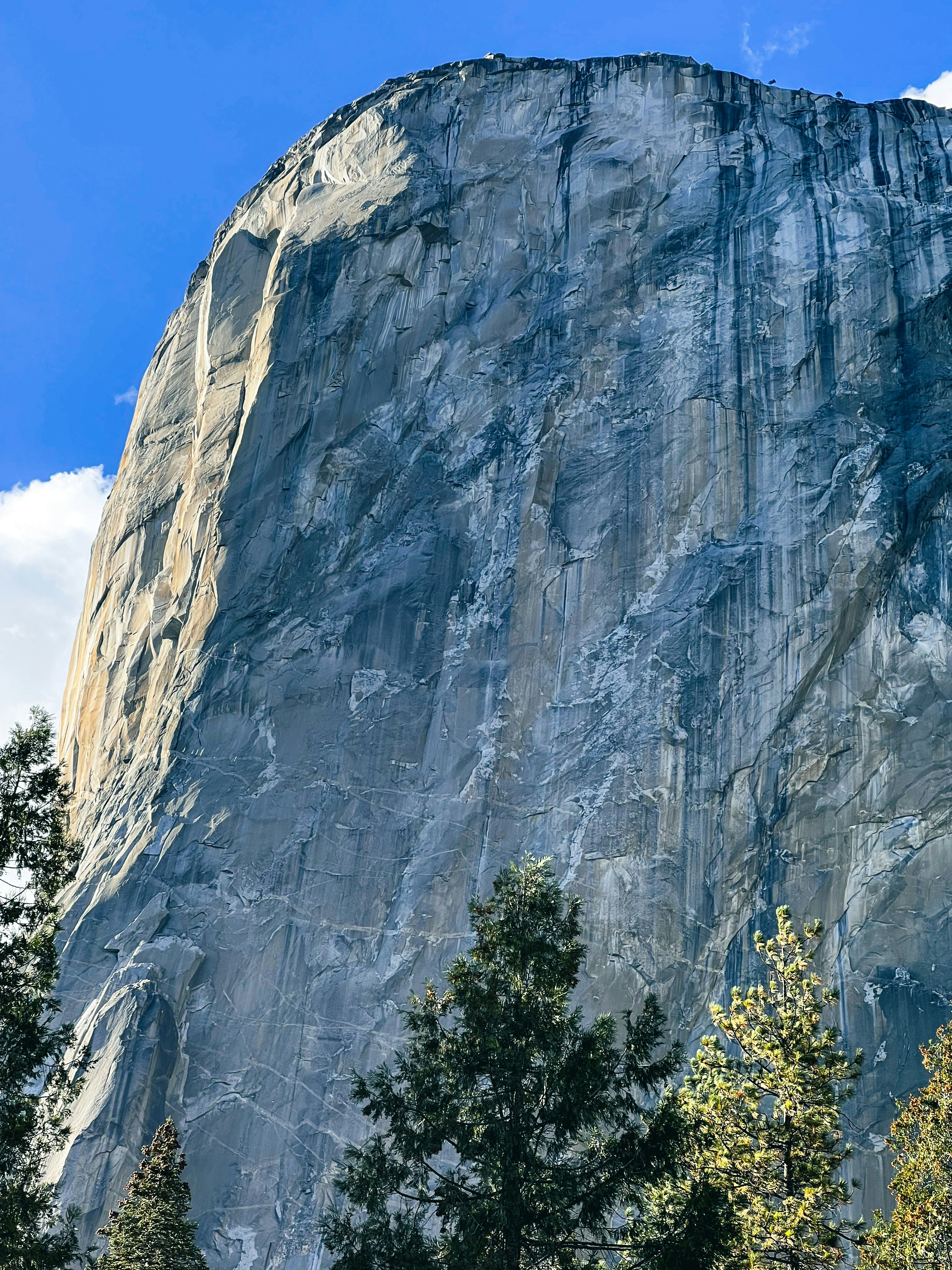 Photo by frankyisfranky