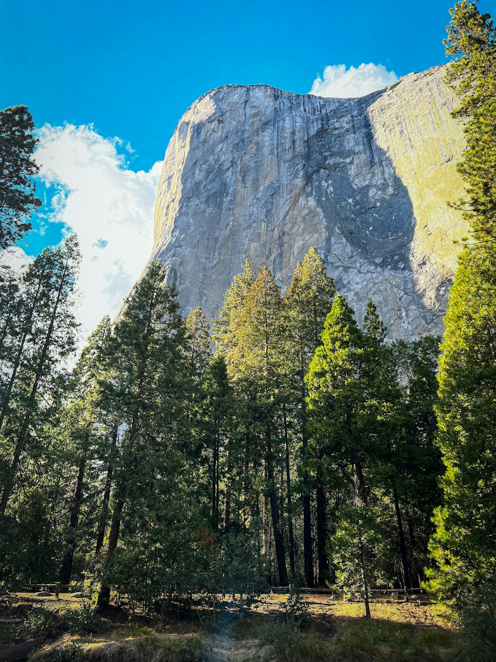 a large mountain towering over a forest filled with trees