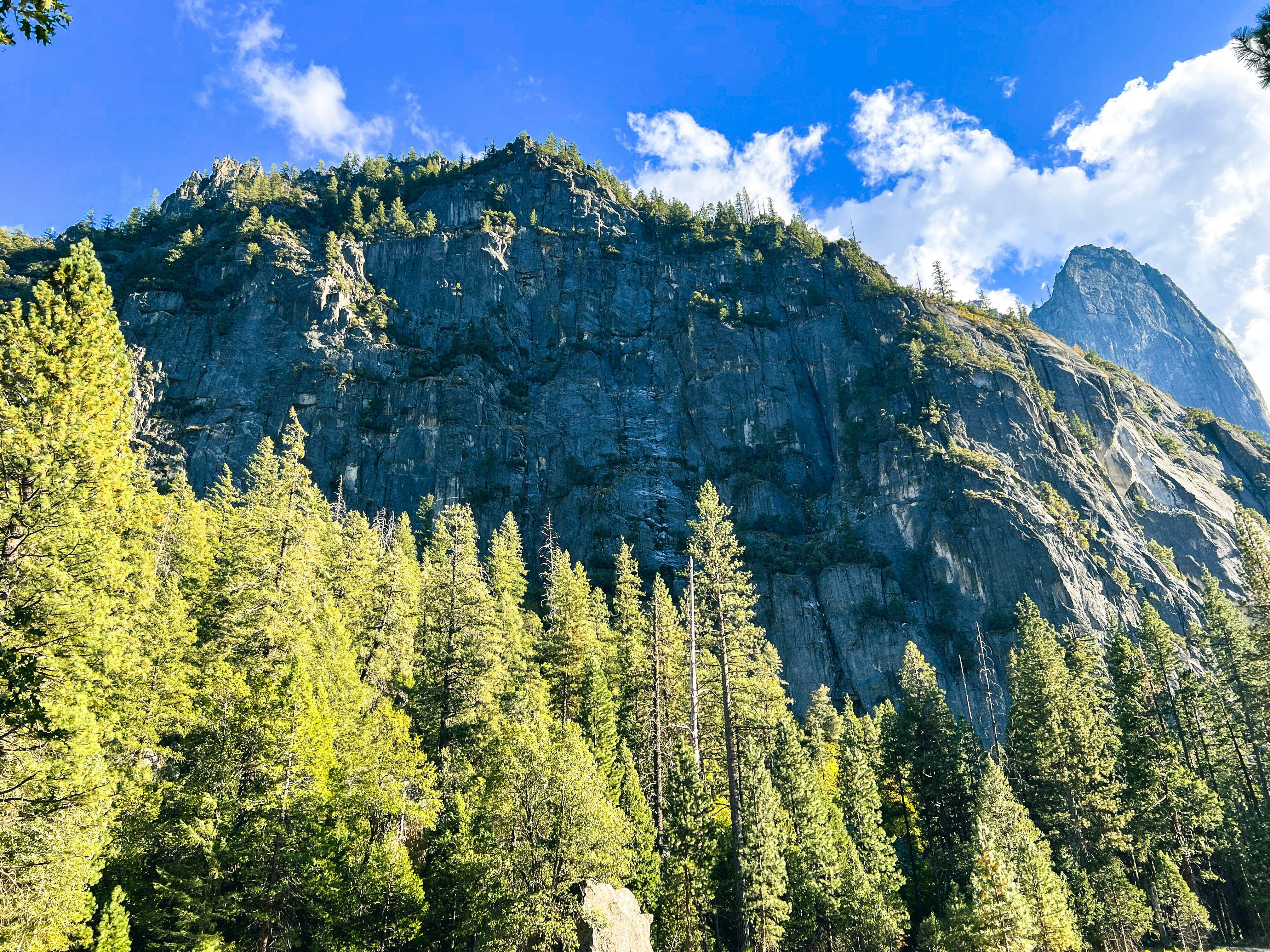 Photo by frankyisfranky