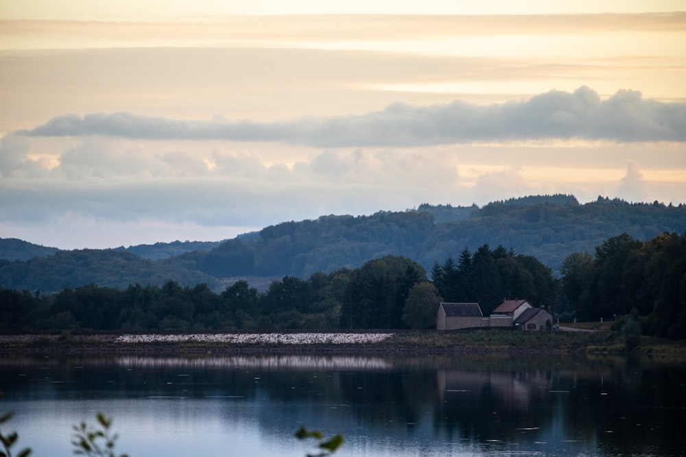 a large body of water surrounded by trees