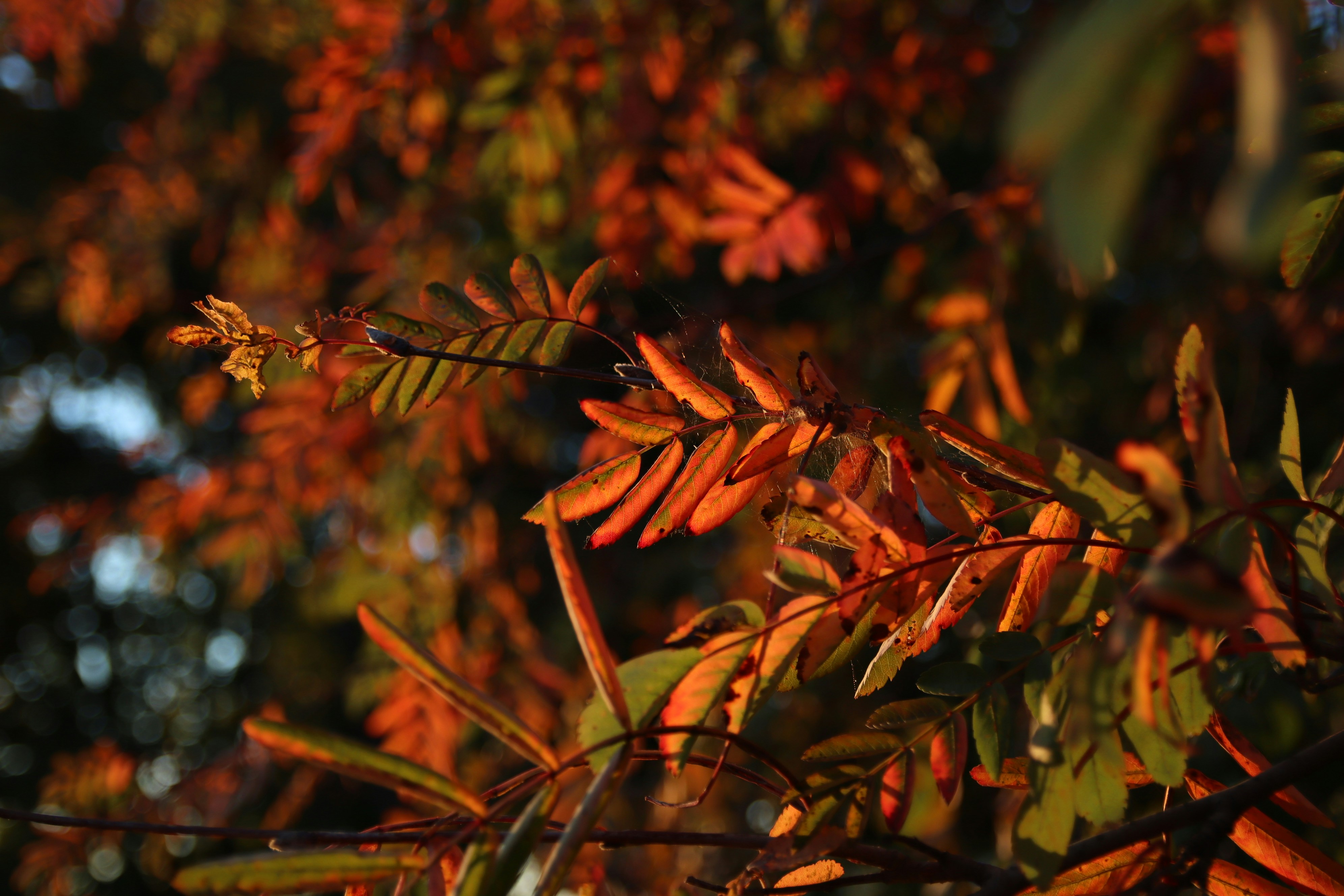 Photo by feeling_hope