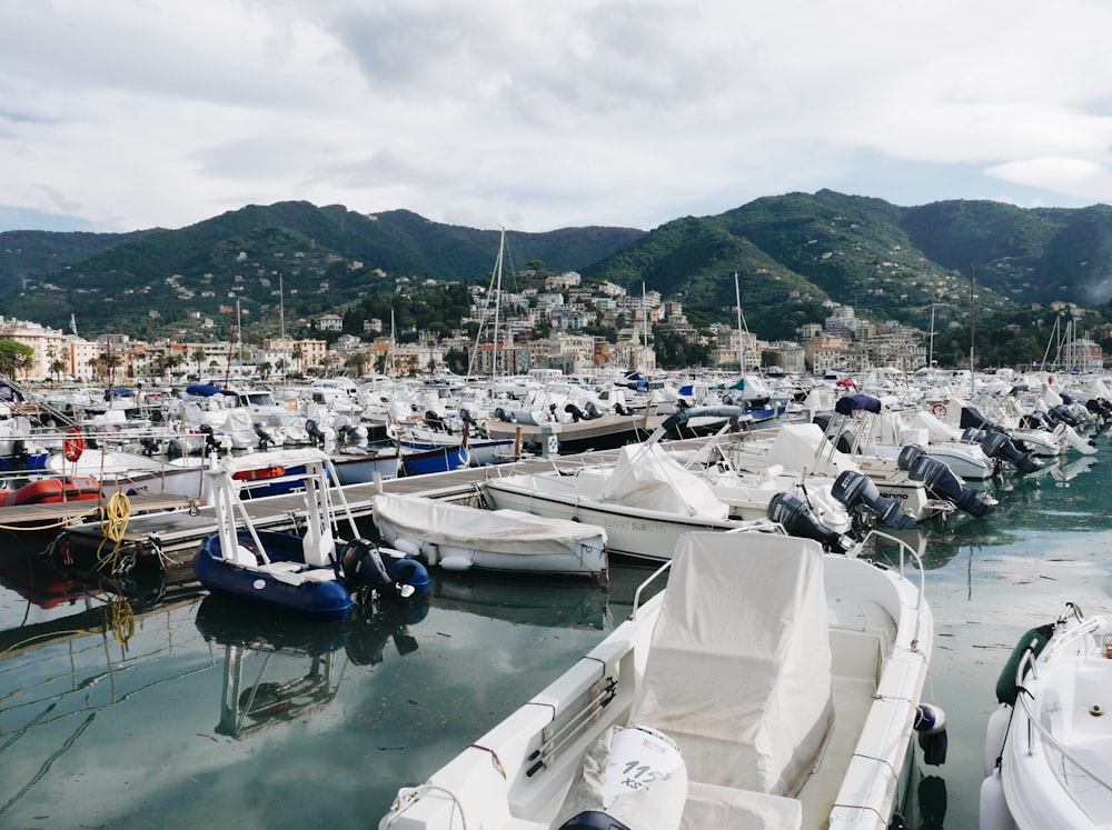 a harbor filled with lots of white boats