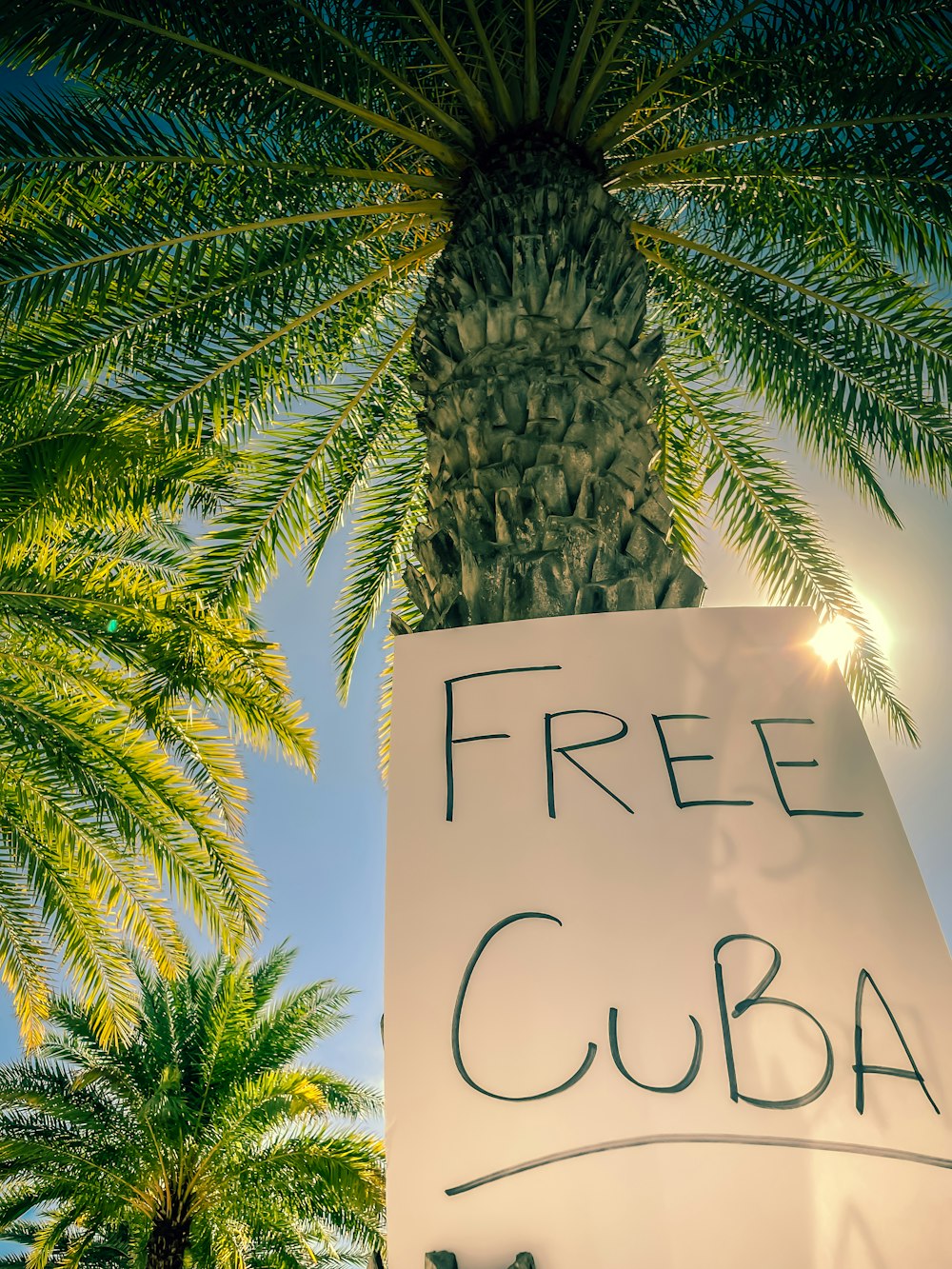 a sign that reads free cuba under a palm tree