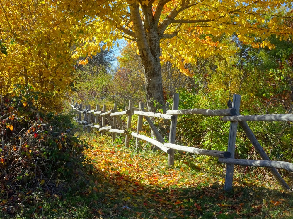 a wooden fence surrounded by trees and leaves