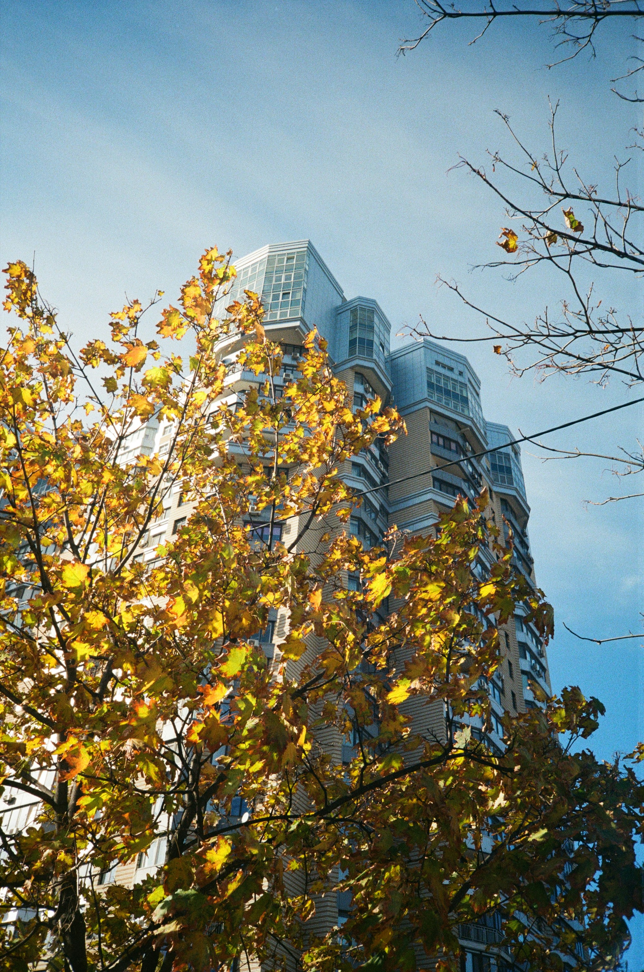 Photo by zhashkevych