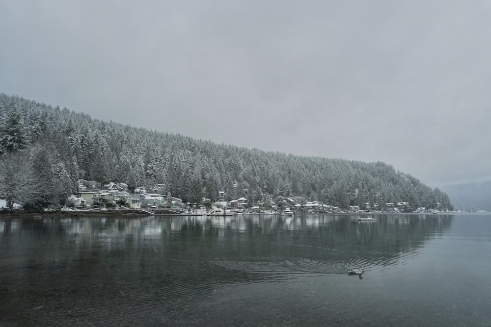 Un lago circondato da una foresta coperta di neve