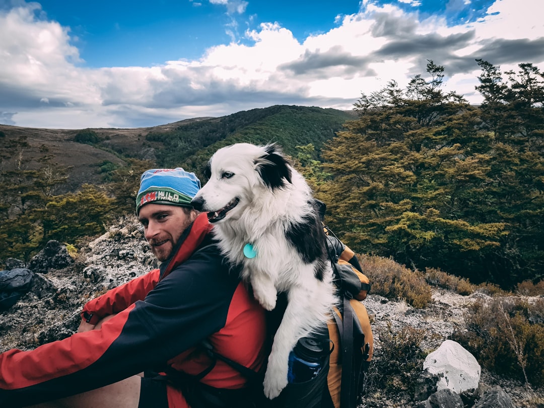 a man sitting on a rock with a dog on his back, Dog having a rest from a long walk