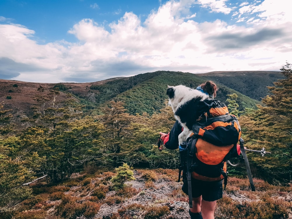 a person with a backpack and a dog on a mountain